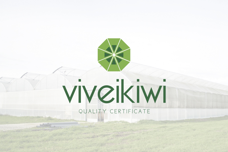 Diseño de logo de empresa viveikiwi